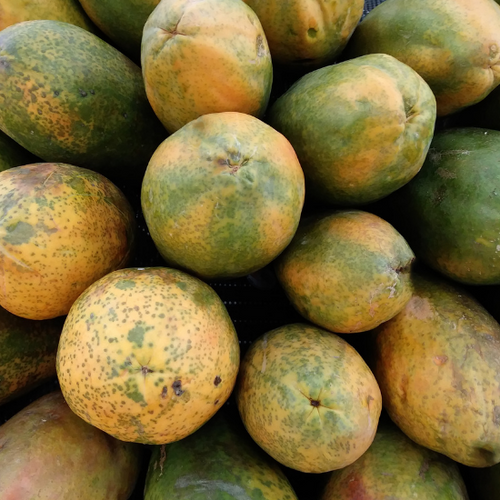 UK gid://shopify/MediaImage/64278143664515