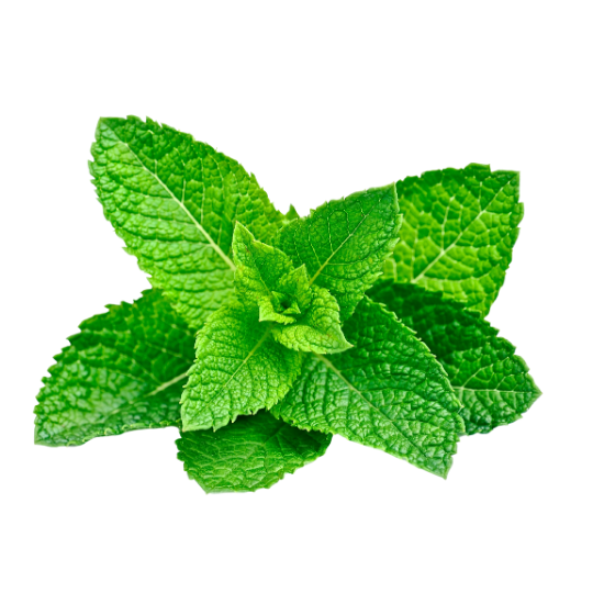 UK gid://shopify/MediaImage/64278123118979