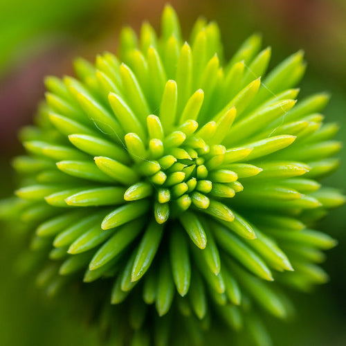 UK gid://shopify/MediaImage/64632616944003