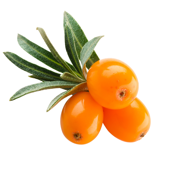 UK gid://shopify/MediaImage/64315100561795