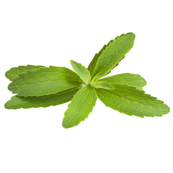 UK gid://shopify/MediaImage/64278326411651