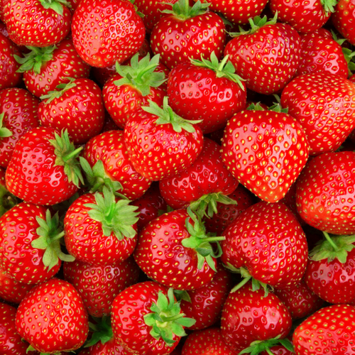 UK gid://shopify/MediaImage/64278275228035