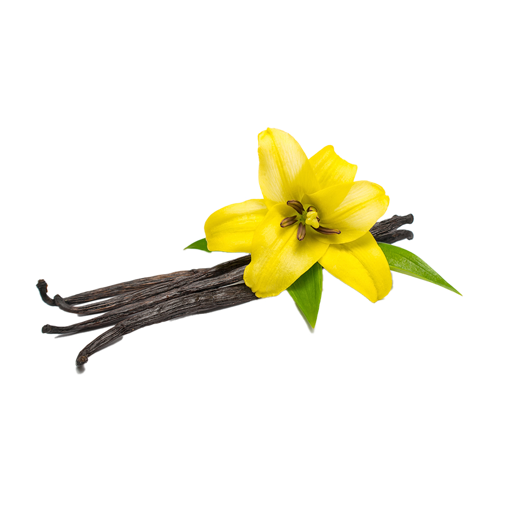 UK gid://shopify/MediaImage/64541289447811